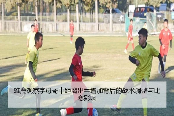 雄鹿观察字母哥中距离出手增加背后的战术调整与比赛影响（leyu）