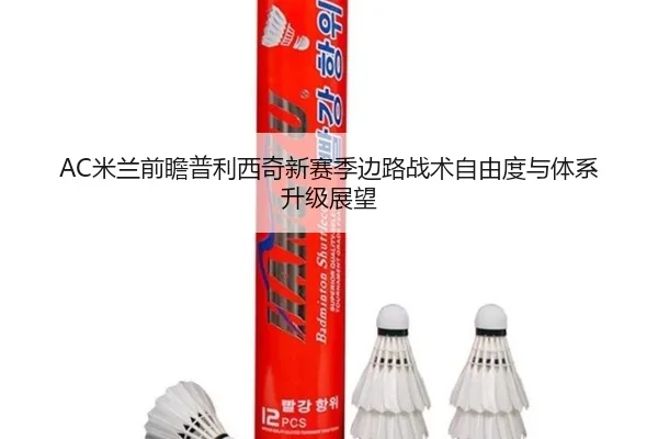 AC米兰前瞻普利西奇新赛季边路战术自由度与体系升级展望（leyu）
